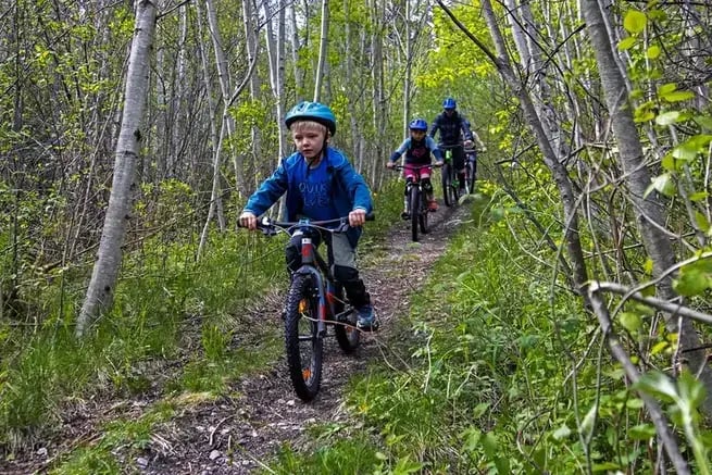 TERRENGSYKKEL TUR I VOSSESKOGEN
