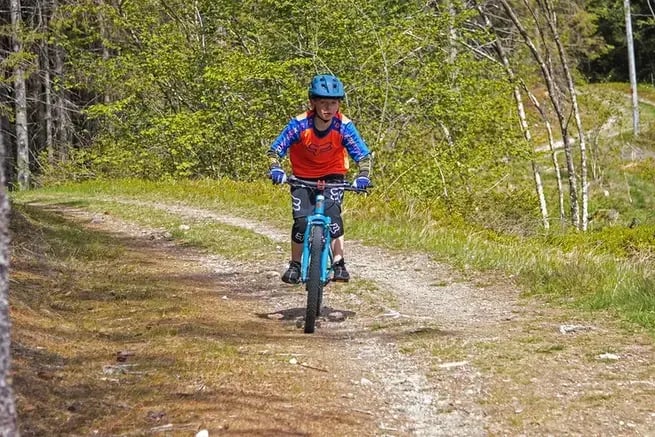 TERRENGSYKKEL TUR I VOSSESKOGEN - 1