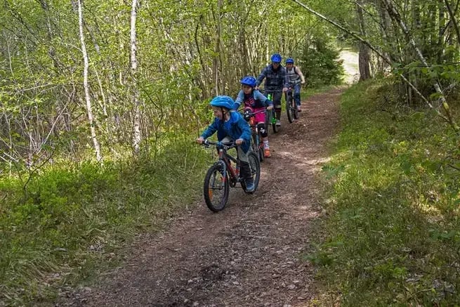 TERRENGSYKKEL TUR I VOSSESKOGEN - 2