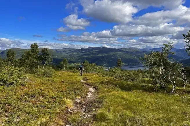MOUNTAIN BIKE - The Grand Traverse