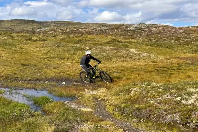 Mountain bike fra fjell til fjord