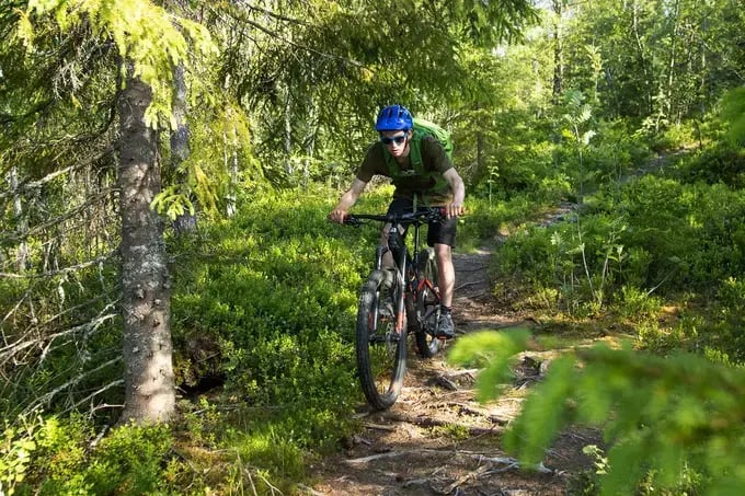 Mountain bike den store bakken