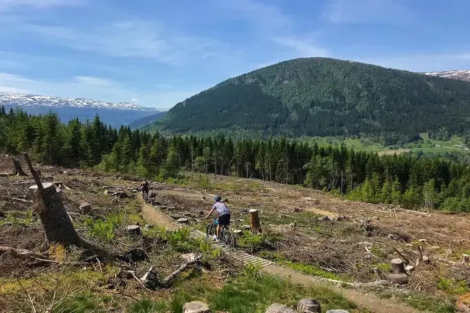 Mountain bike den store bakken
