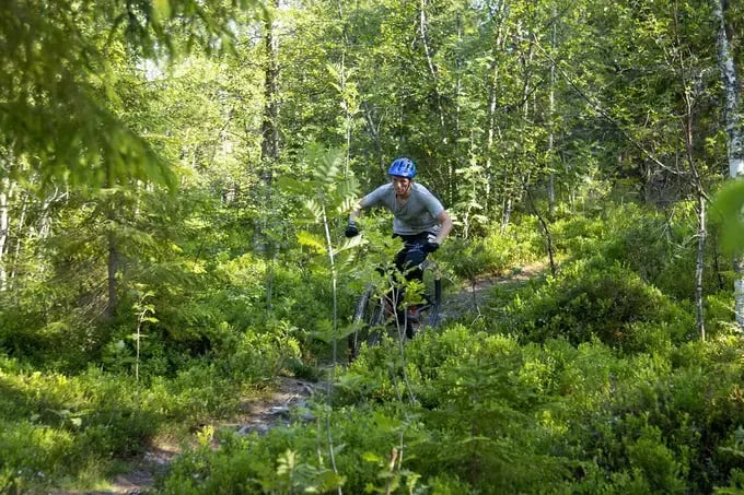 Mountain bike den store bakken