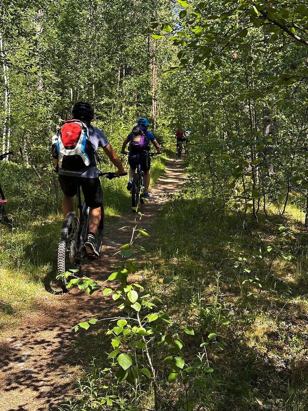 Terrengsykkelløype For Kvinner