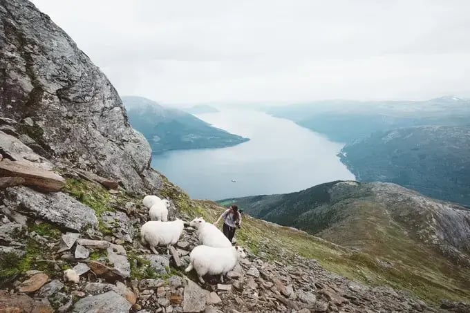 Fjordvandring fjellet oksen