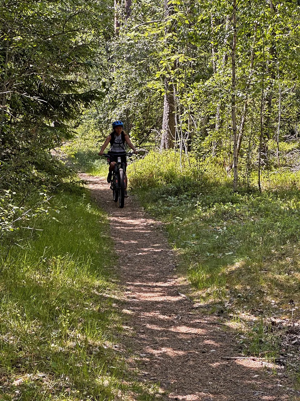 Mountain biking on a trail