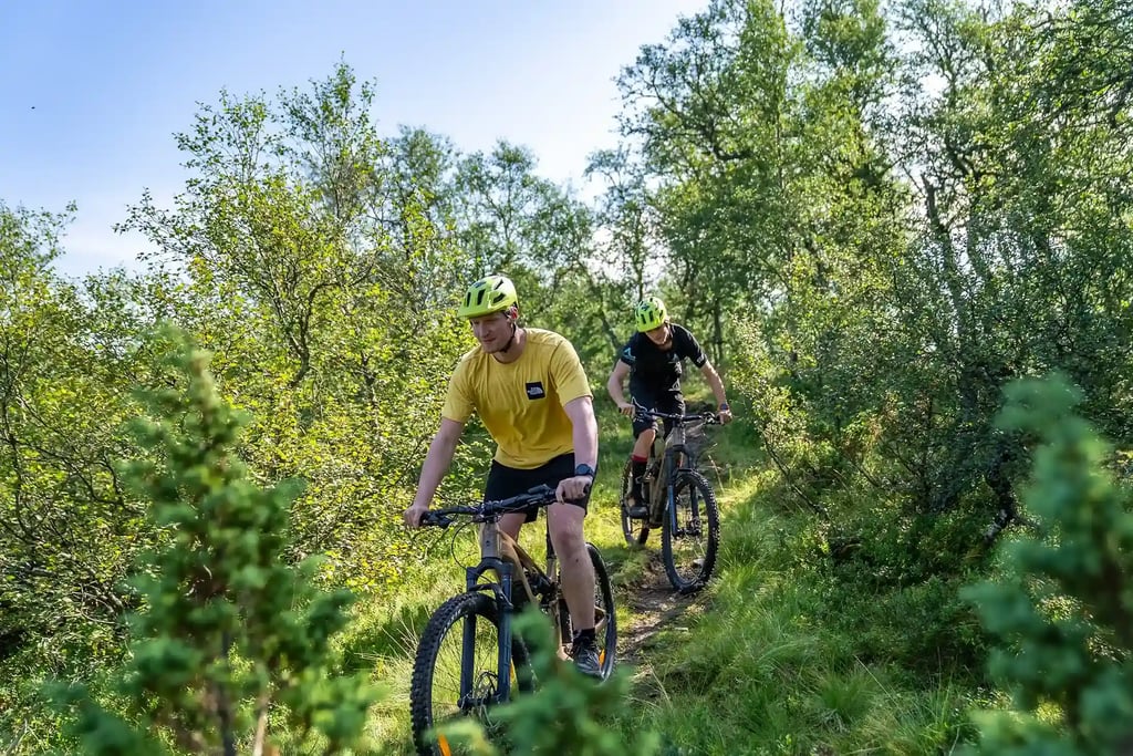 E-mtb-guidet Tur I Voss, Norge