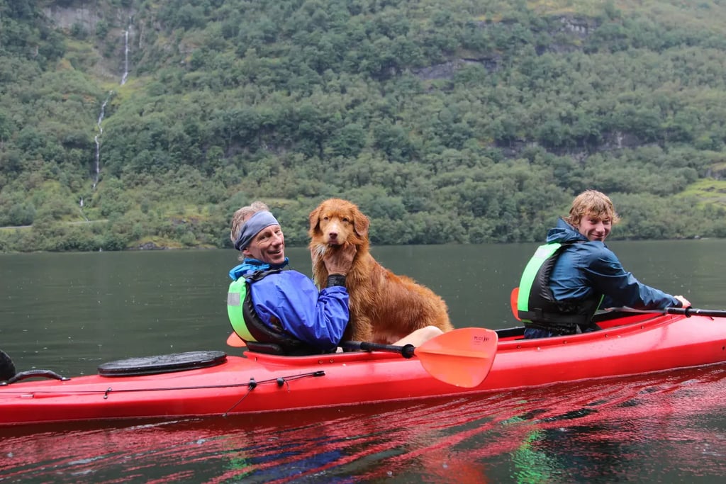 5 DAY FJORD NORWAY ADVENTURE PACKAGE 2025 69