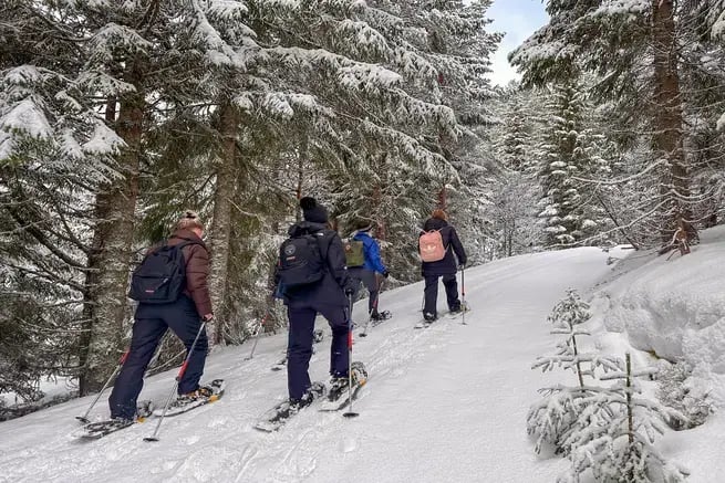 5-DAGERS VÅREVENTYR I FJORD-NORGE