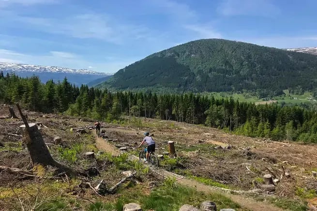 Terrengsykkeltur i norge