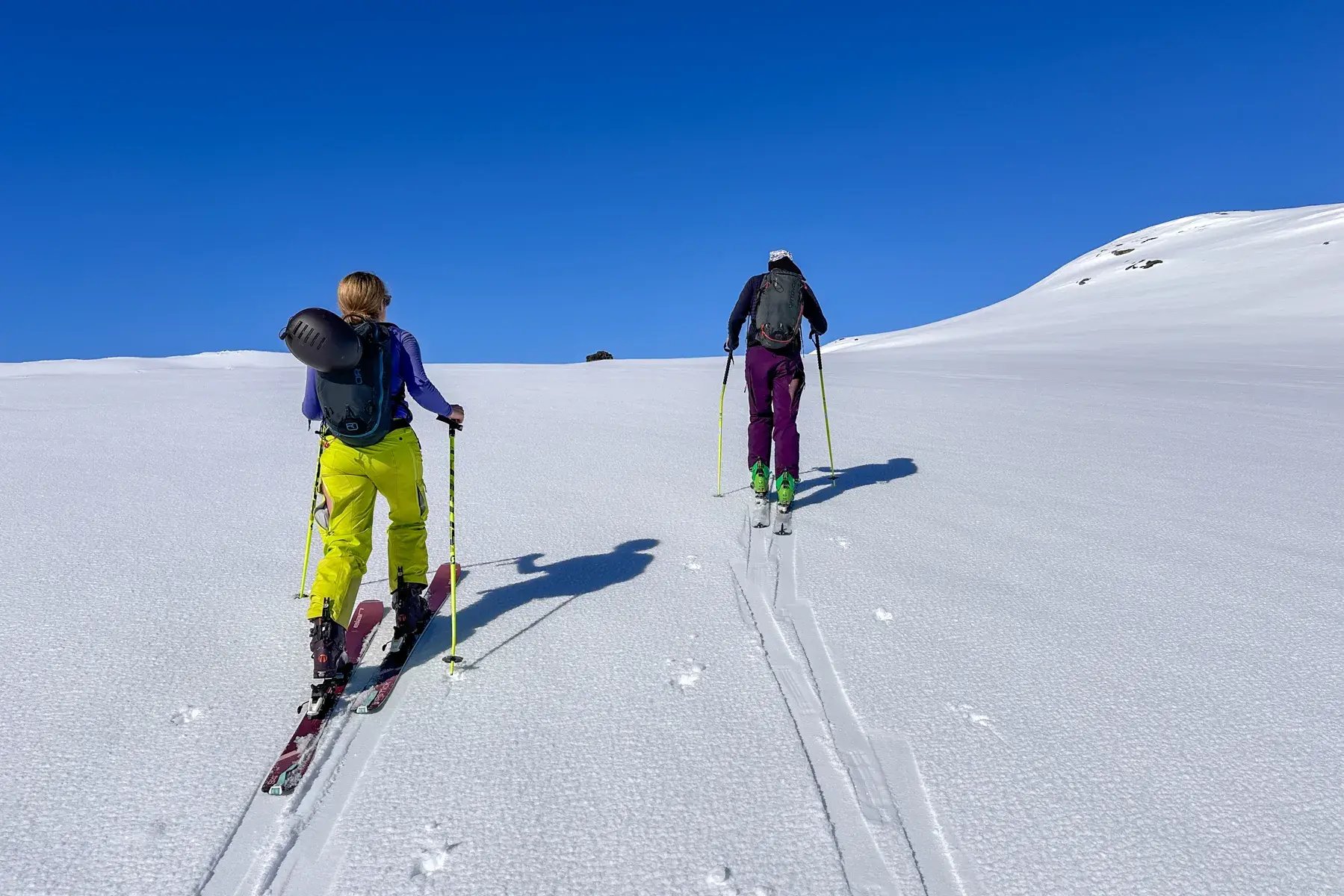 6-DAGERS SKIPAKKE «FRESH &amp; CRUISERS» 2025-6