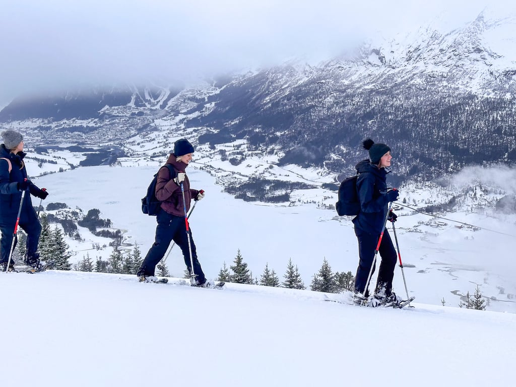 Group of Hikers Enjoying Snowshoes Tour