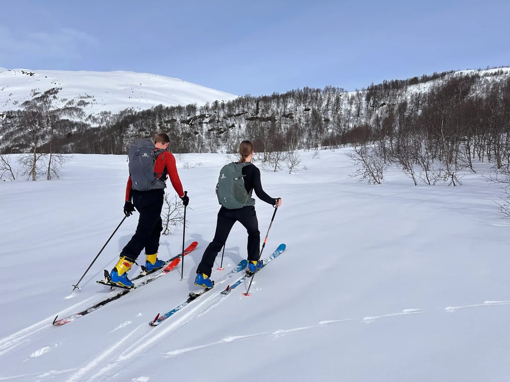 ADVANCE - 2025 BACKCOUNTRY SKI 8