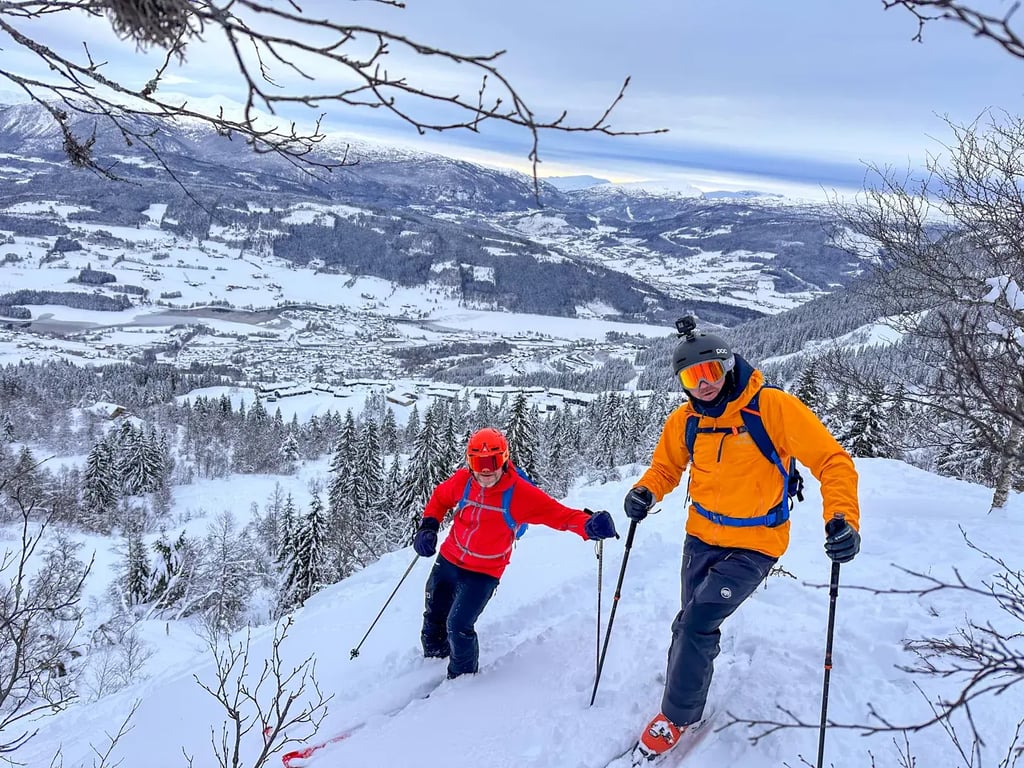 BACKCOUNTRY SKI TOUR ADVANCE- 05