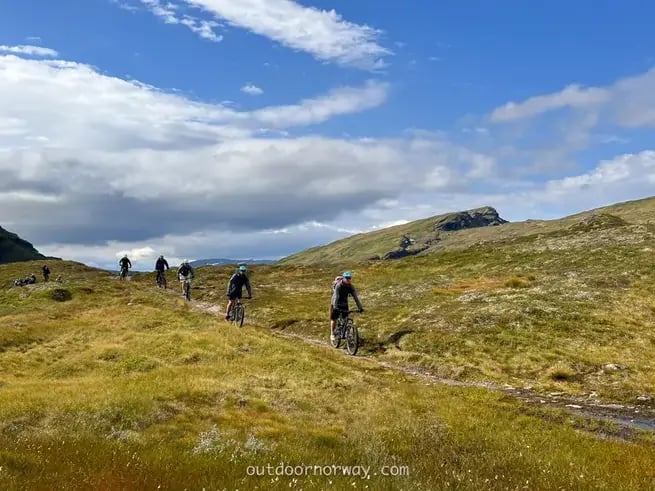 Mountain bike fra fjell til fjord