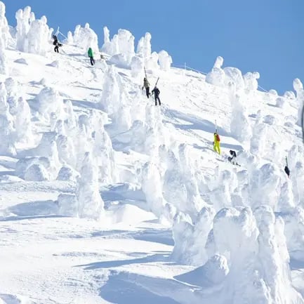 Ski opplevelser i Norge