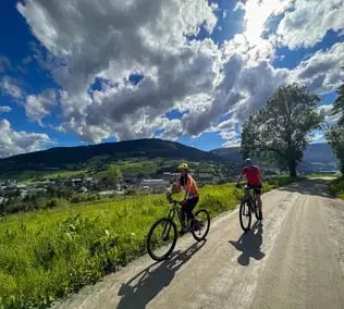 Mountain bike tour in voss forest