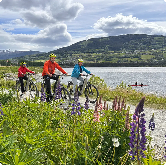 MTB-turer i de norske fjordene