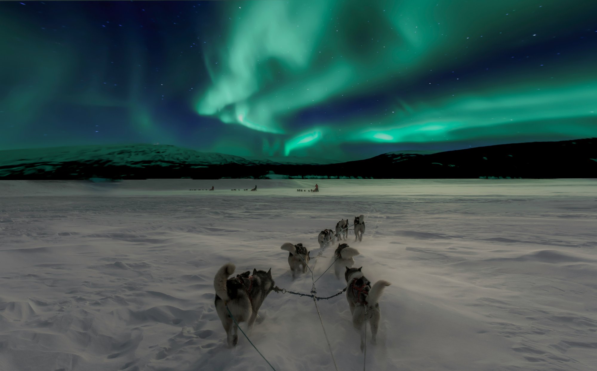 hundesledekjøring-under-nordlyset-norge