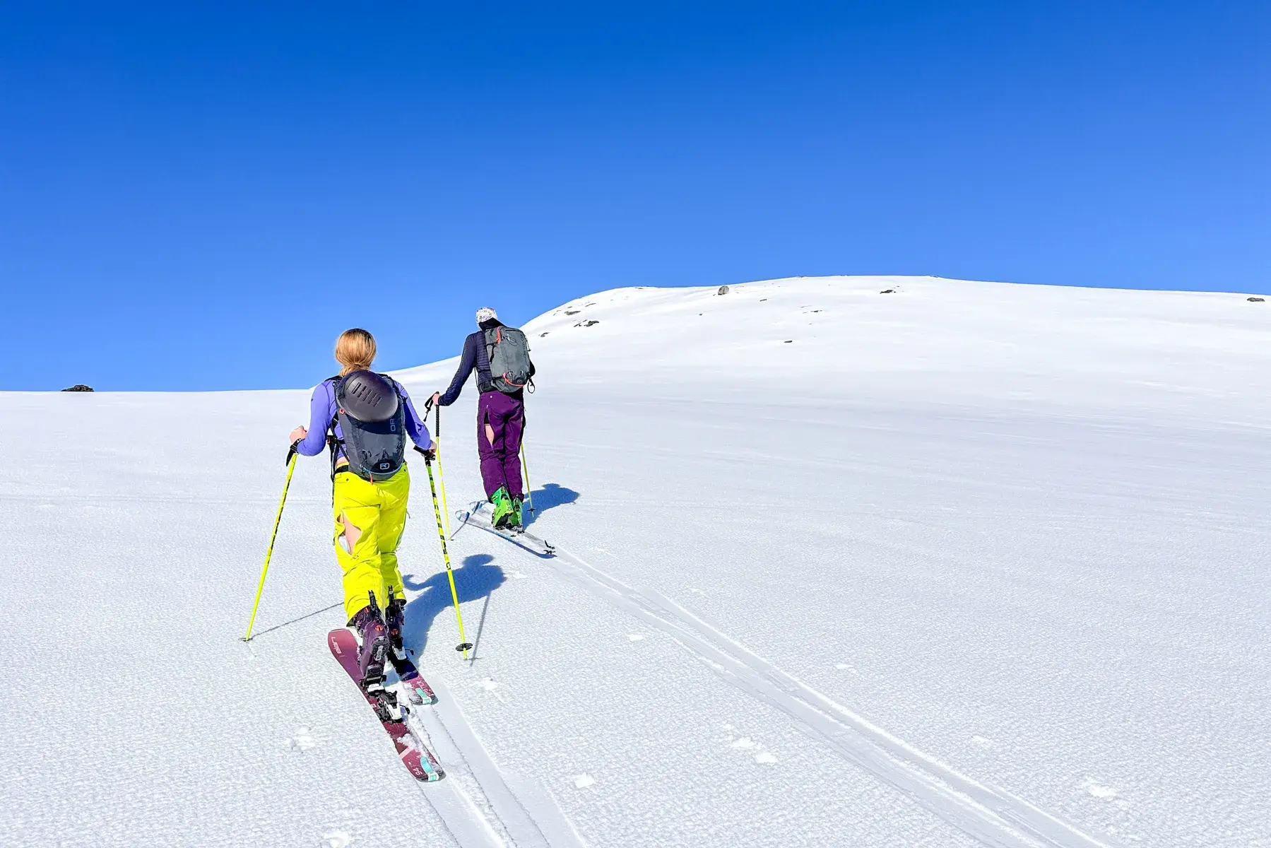 6-DAGERS SKIPAKKE «FRESH &amp; CRUISERS» 2025-5