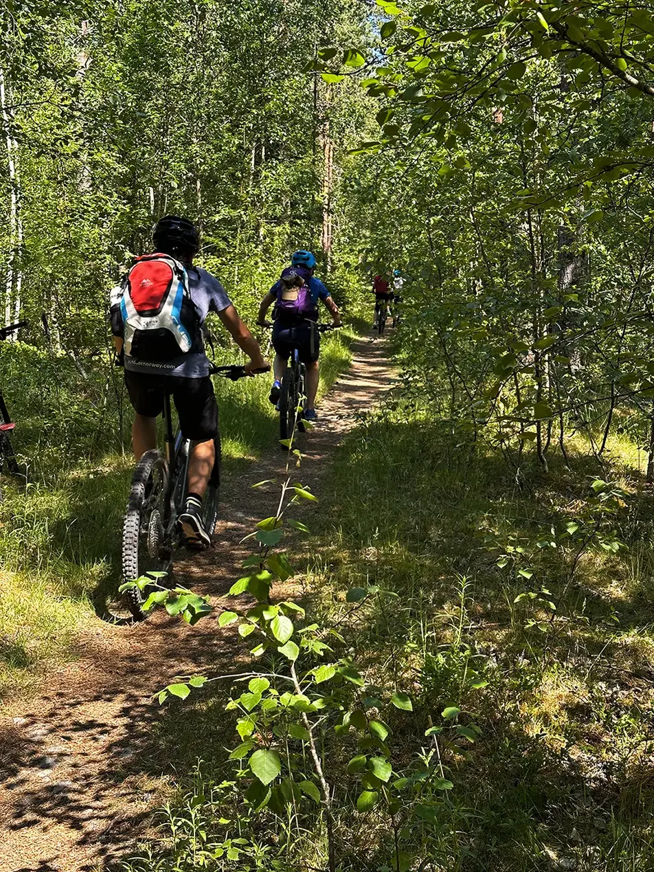 MTB-KURS FOR JENTER