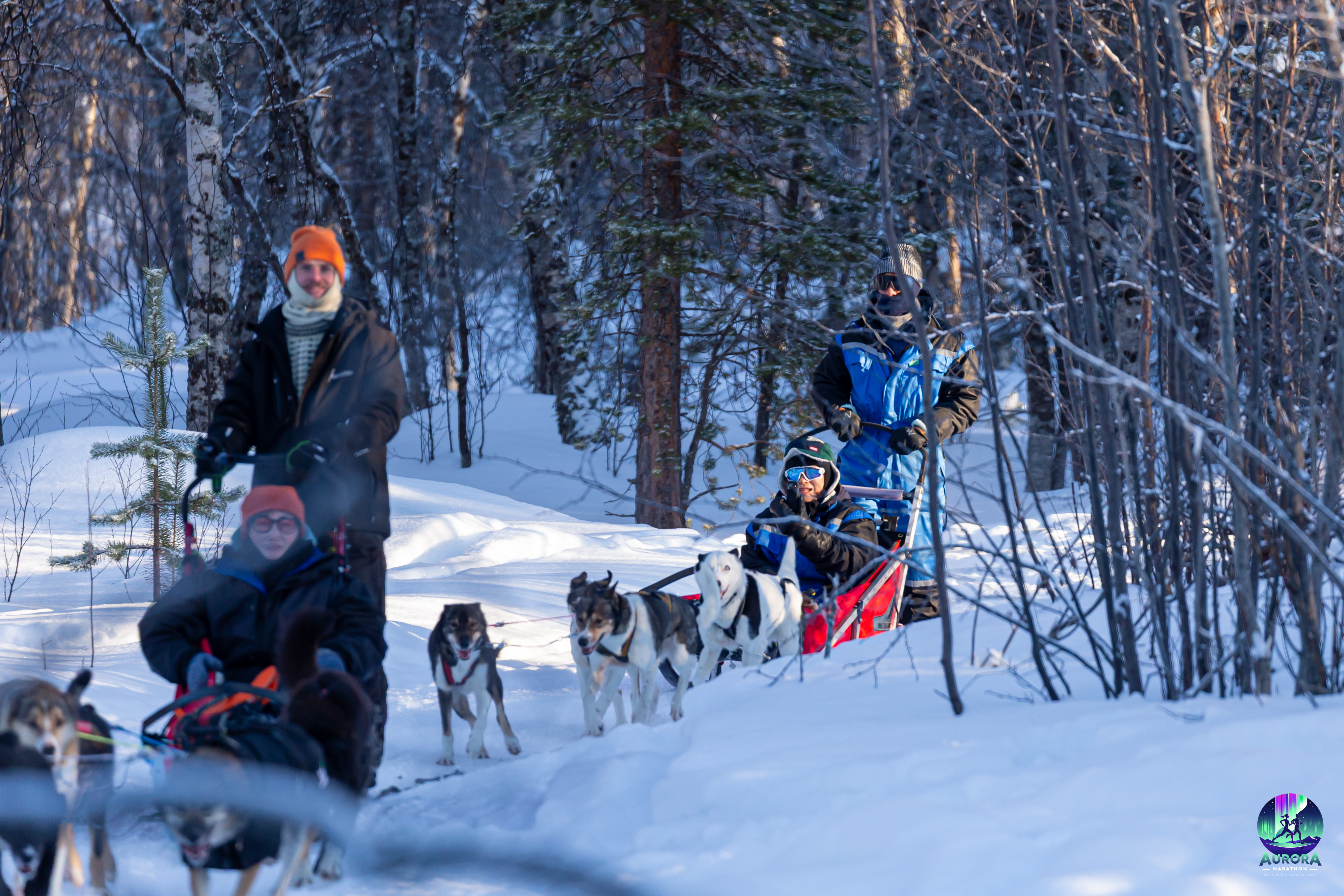 Hundesledekjøring i Gargia-dalen
